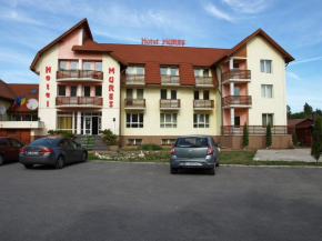  Hotel Mures  Топлита